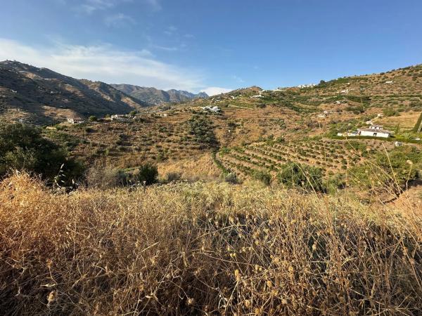 Terreno en Diseminado Pago Montealegre, 2636