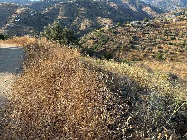 Terreno en Diseminado Pago Montealegre, 2636