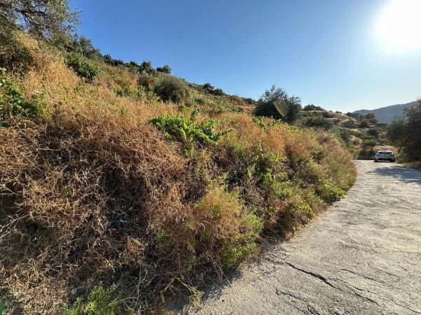 Terreno en Diseminado Pago Montealegre, 939