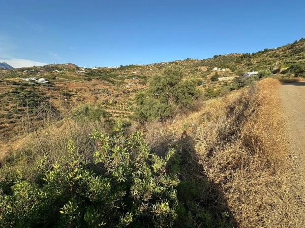 Terreno en Diseminado Pago Montealegre, 2636