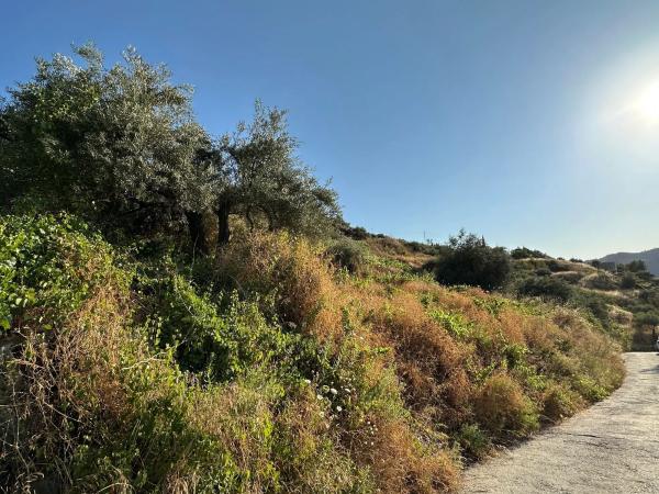 Terreno en Diseminado Pago Montealegre, 939