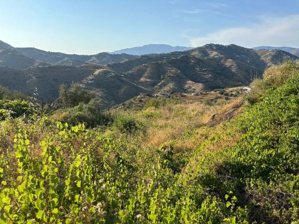 Terreno en Diseminado Pago Montealegre, 939