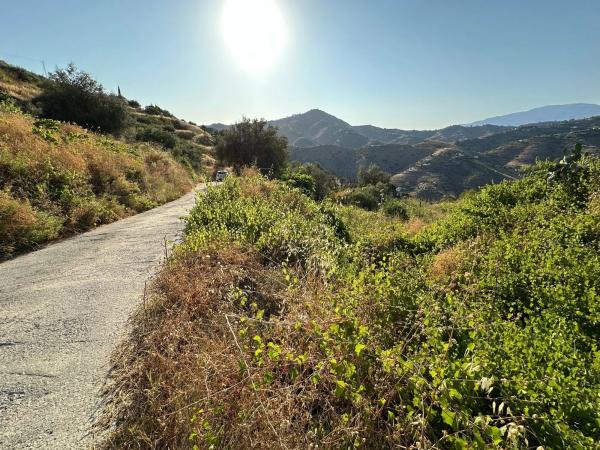 Terreno en Diseminado Pago Montealegre, 939