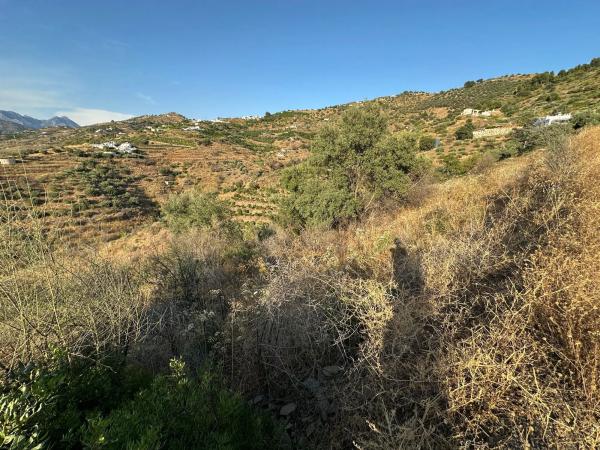 Terreno en Diseminado Pago Montealegre, 2636