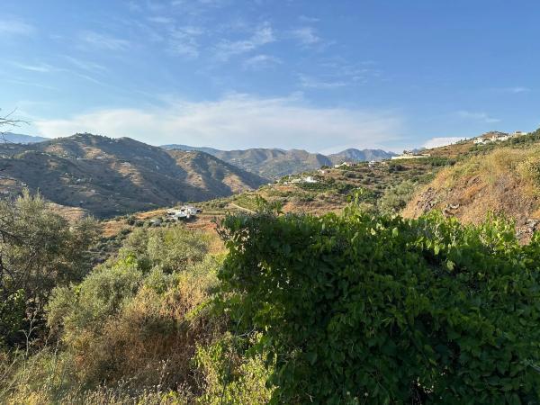 Terreno en Diseminado Pago Montealegre, 939