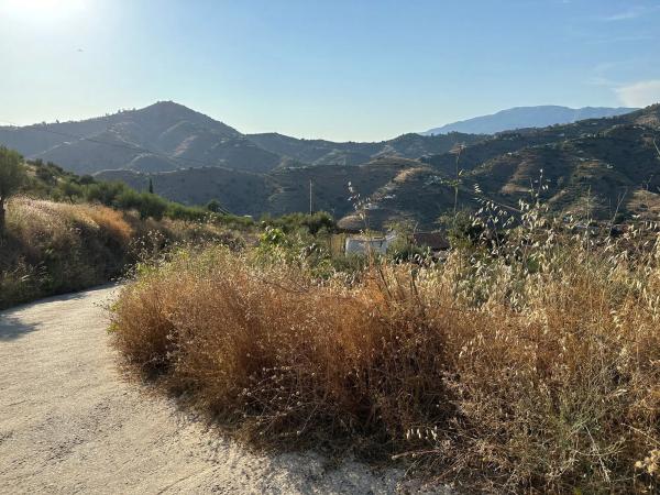 Terreno en Diseminado Pago Montealegre, 939