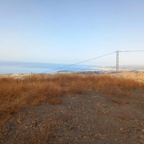 Terreno en calle Montealegre s/n sn