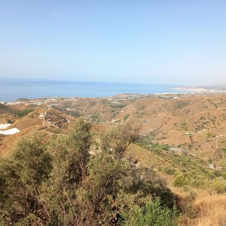 Terreno en calle Montealegre s/n sn