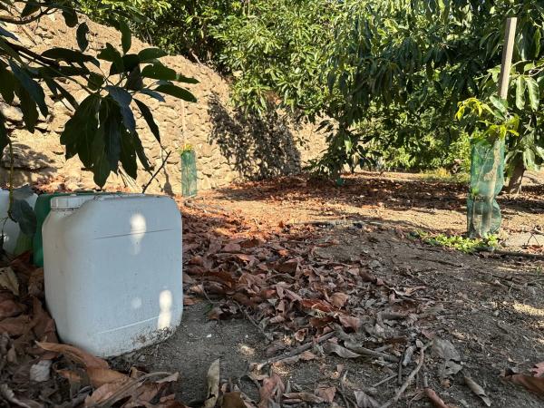 Terreno en Diseminado Pago Alcahuete