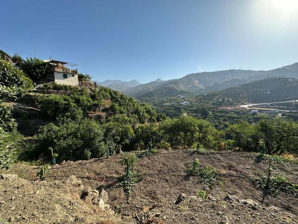 Terreno en Diseminado Pago Alcahuete