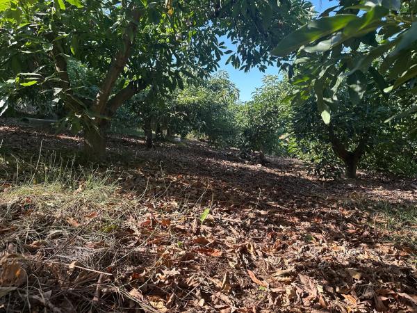 Terreno en Diseminado el Pago Rio