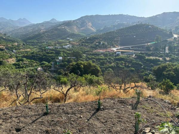 Terreno en Diseminado Pago Alcahuete