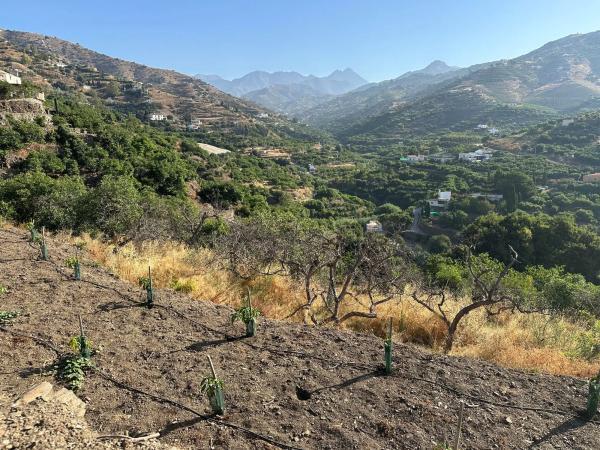 Terreno en Diseminado Pago Alcahuete