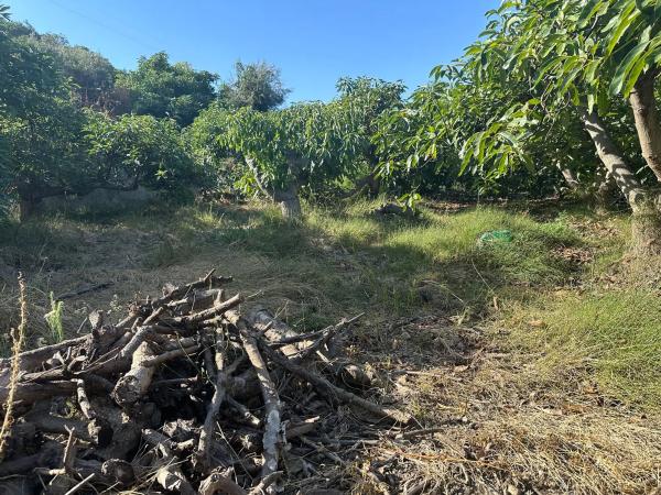 Terreno en Diseminado el Pago Rio