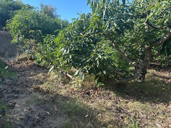 Terreno en Diseminado el Pago Rio