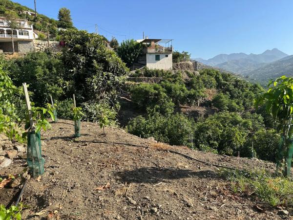 Terreno en Diseminado Pago Alcahuete