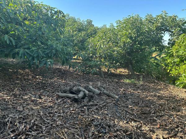 Terreno en Diseminado el Pago Rio