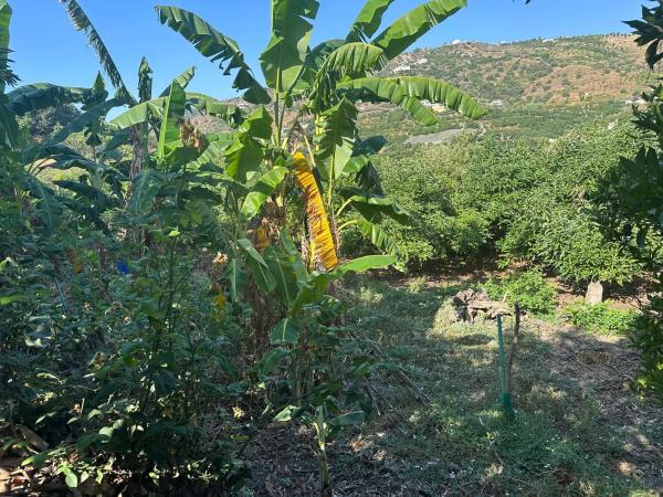 Terreno en Diseminado el Pago Rio