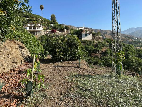 Terreno en Diseminado Pago Alcahuete