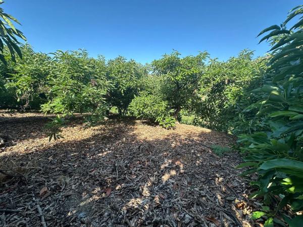 Terreno en Diseminado el Pago Rio