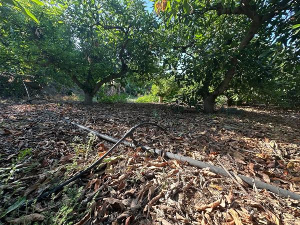 Terreno en Diseminado el Pago Rio