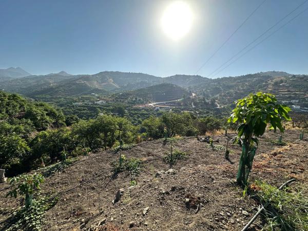 Terreno en Diseminado Pago Alcahuete