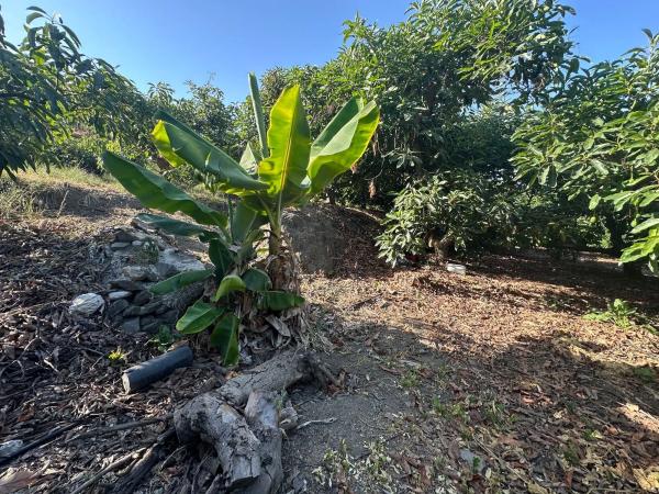 Terreno en Diseminado el Pago Rio