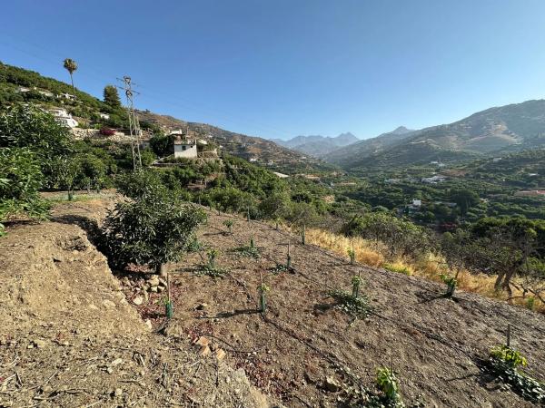 Terreno en Diseminado Pago Alcahuete