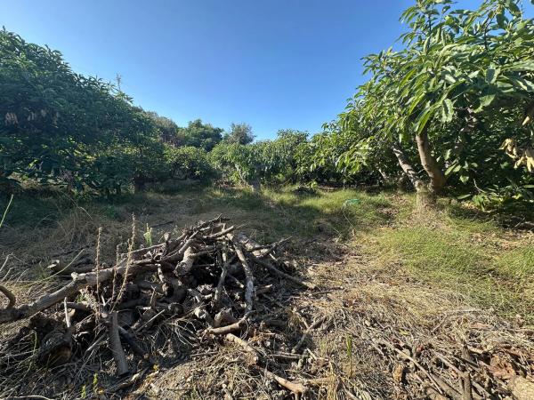 Terreno en Diseminado el Pago Rio