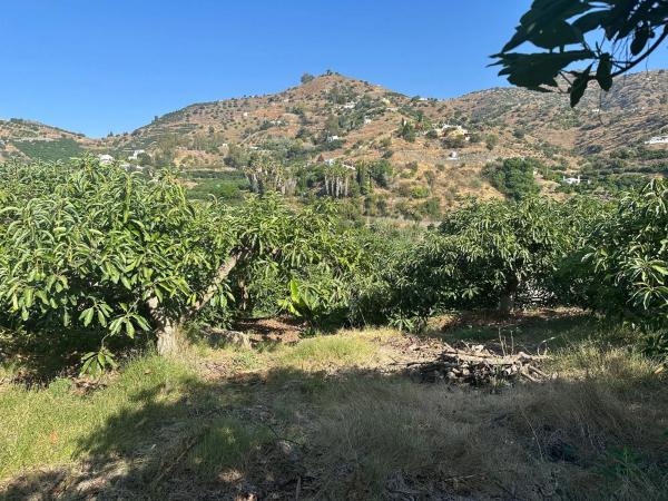 Terreno en Diseminado el Pago Rio