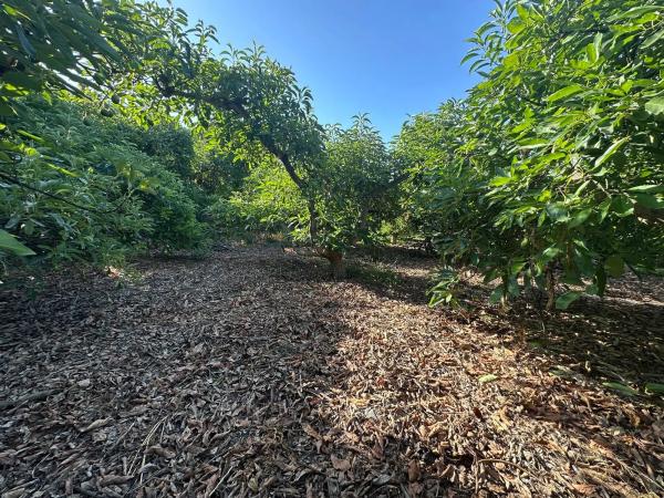 Terreno en Diseminado el Pago Rio