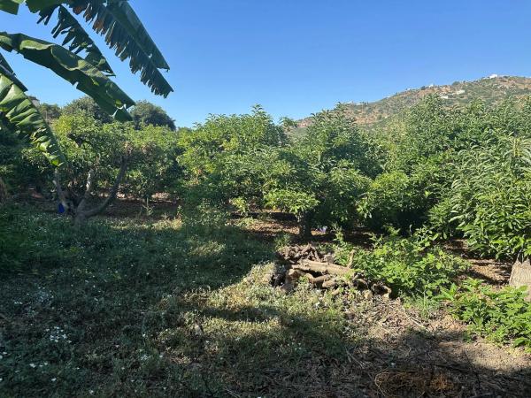 Terreno en Diseminado el Pago Rio