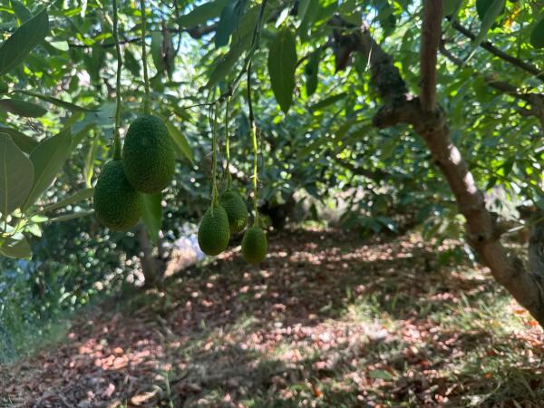 Terreno en Diseminado el Pago Rio