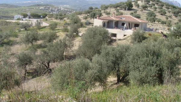 Terreno en centro s/n