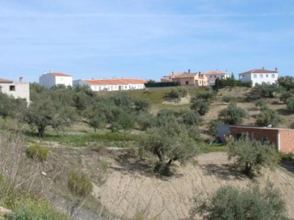 Terreno en centro s/n