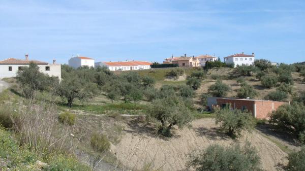 Terreno en centro s/n