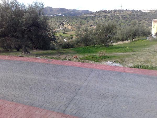 Terreno en centro s/n