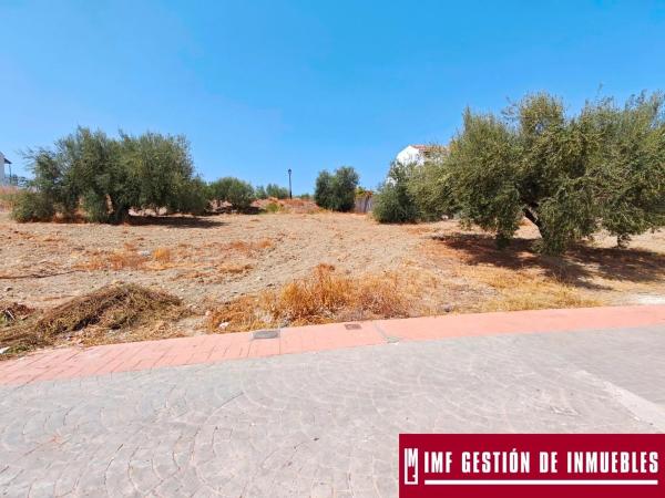 Terreno en calle del Parque, 7