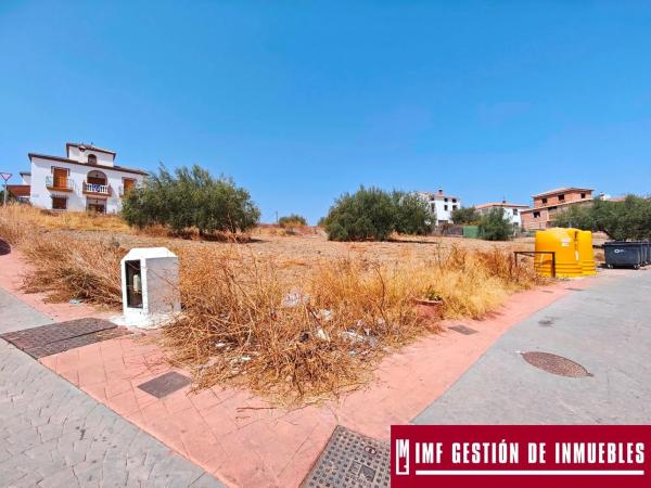Terreno en calle Haza del Olivo, 2