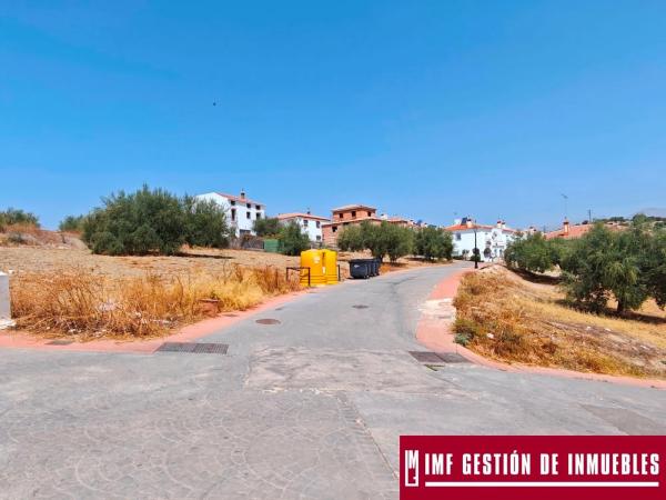 Terreno en calle Haza del Olivo, 2