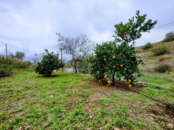 Terreno en calle Vėlez Málaga