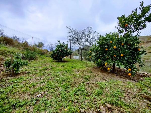 Terreno en calle Vėlez Málaga
