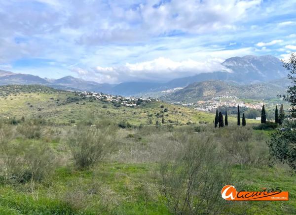 Terreno en Cortijo Vílches s/n