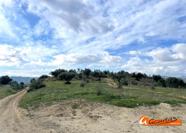 Terreno en Cortijo Vílches s/n