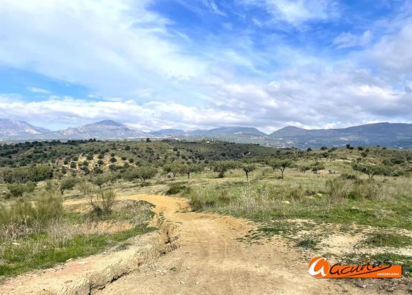 Terreno en Cortijo Vílches s/n