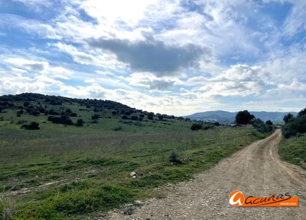 Terreno en Cortijo Vílches s/n