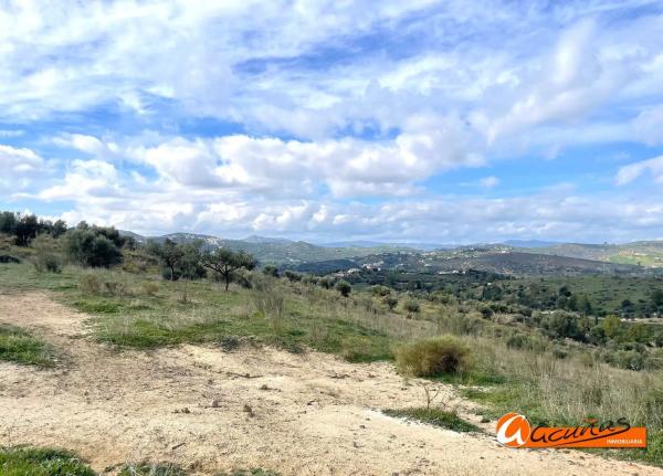 Terreno en Cortijo Vílches s/n