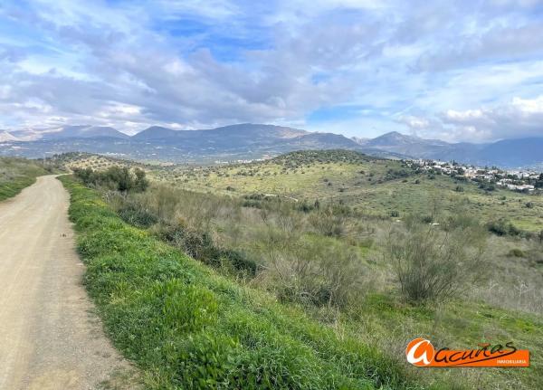 Terreno en Cortijo Vílches s/n