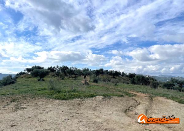 Terreno en Cortijo Vílches s/n