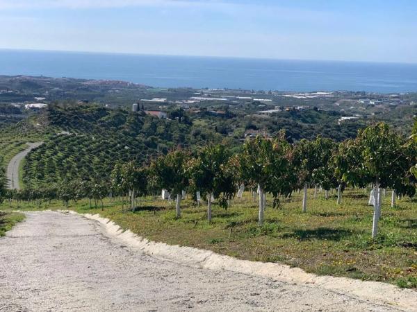Terreno en Camino Viejo de Málaga
